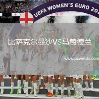 比萨克尔曼沙VS马赞德兰