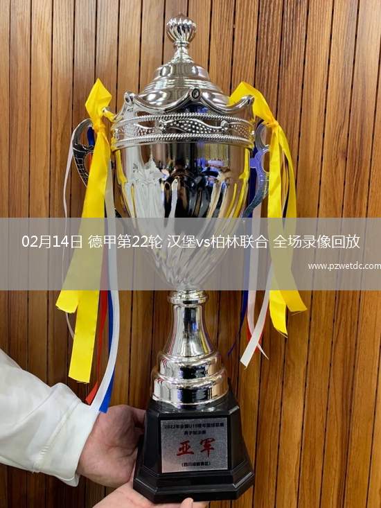 02月14日 德甲第22轮 汉堡vs柏林联合 全场录像回放
