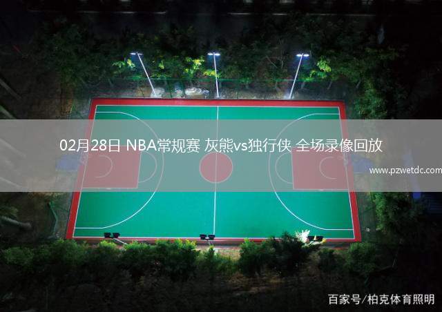 02月28日 NBA常规赛 灰熊vs独行侠 全场录像回放