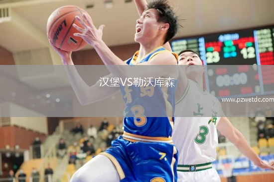 汉堡VS勒沃库森