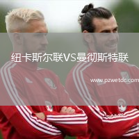 纽卡斯尔联VS曼彻斯特联