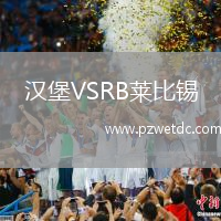 汉堡VSRB莱比锡