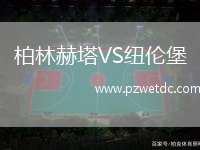 柏林赫塔VS纽伦堡