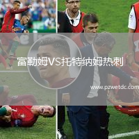 富勒姆VS托特纳姆热刺