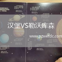 汉堡VS勒沃库森