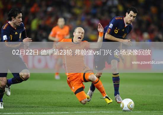02月22日 德甲第23轮 弗赖堡vs门兴 全场录像回放