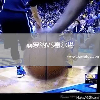 赫罗纳VS塞尔塔