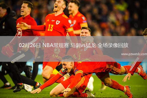 02月26日 NBA常规赛 马刺vs猛龙 全场录像回放