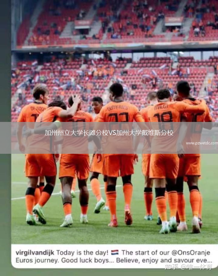 加州州立大学长滩分校VS加州大学戴维斯分校